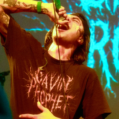 Gavin Prophet profile image